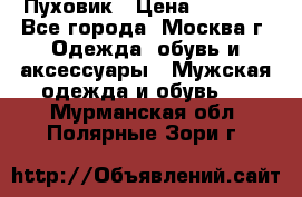 Пуховик › Цена ­ 2 000 - Все города, Москва г. Одежда, обувь и аксессуары » Мужская одежда и обувь   . Мурманская обл.,Полярные Зори г.